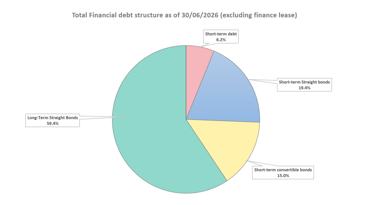 Total Debt Structure