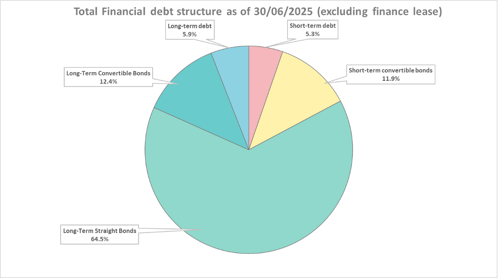 Total Debt Structure