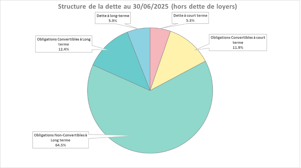 Total Debt Structure